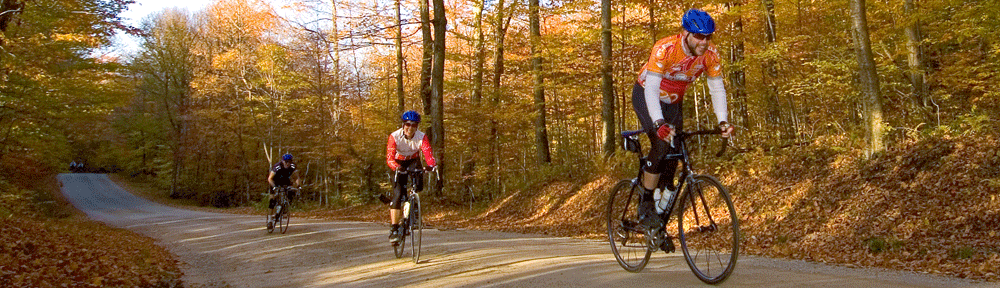 fall_cycling_road