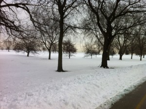 Snow Covered Chicago Lakefront